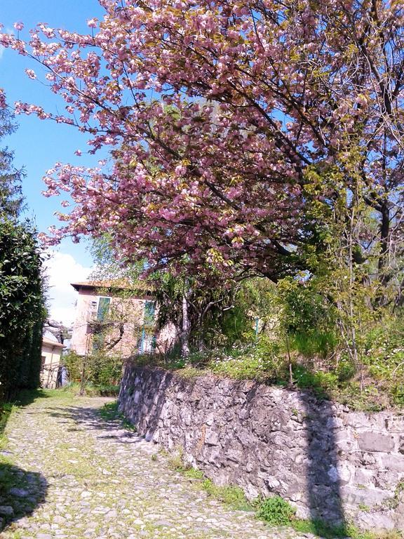 Appartamento La Cà del Menèc Lierna Esterno foto
